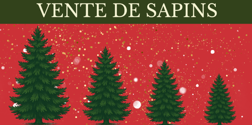 VENTE SAPIN