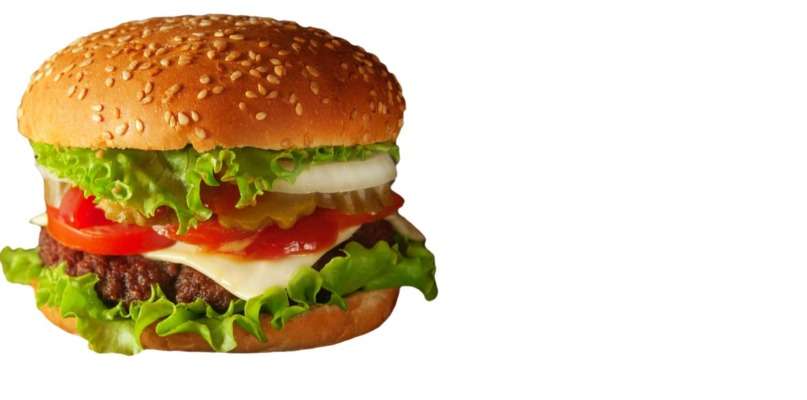 Hamburger maison