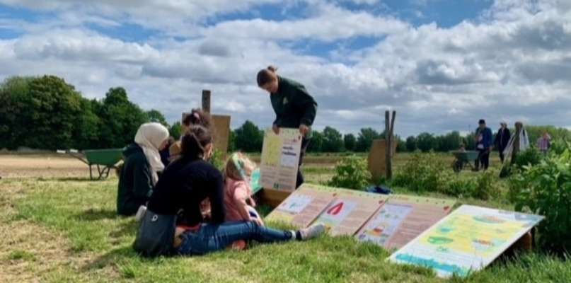 Plantation d'un fraisier